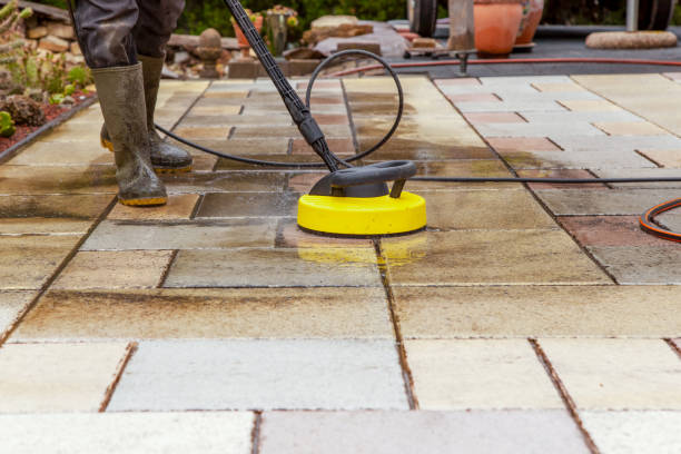 Best Animal Enclosure Cleaning  in Rio Grande, NJ